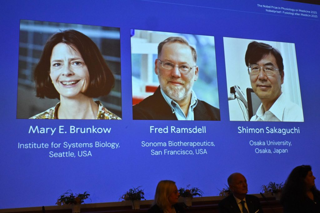 Medizin-Nobelpreis geht an drei Immunforscherinnen und -forscher
