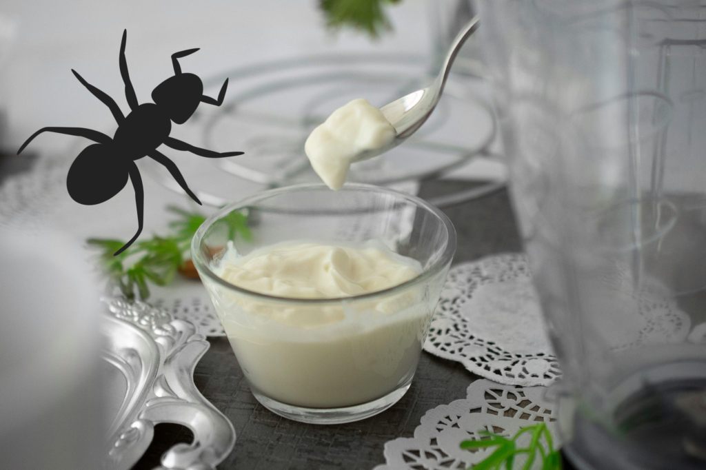 Wie Joghurt aus Ameisen entsteht – Nachahmen nicht empfohlen