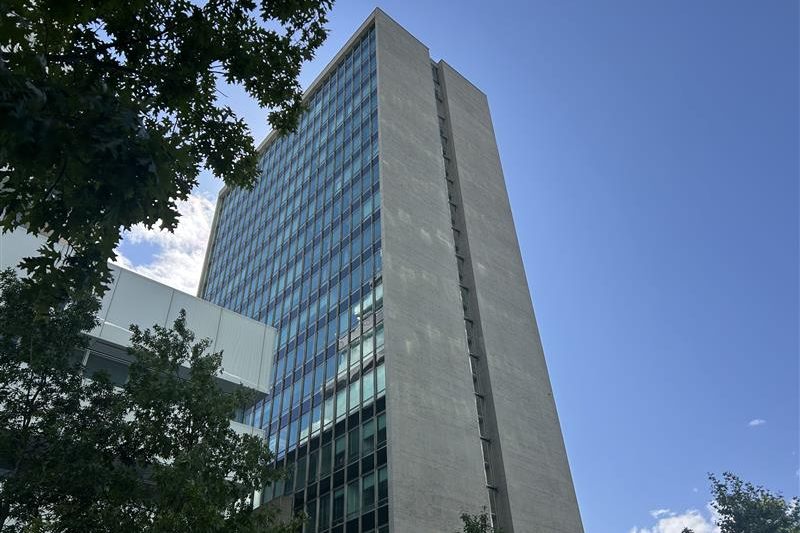 Erhalt von «Bau 52»: Basler Architekt:innen starten Petition