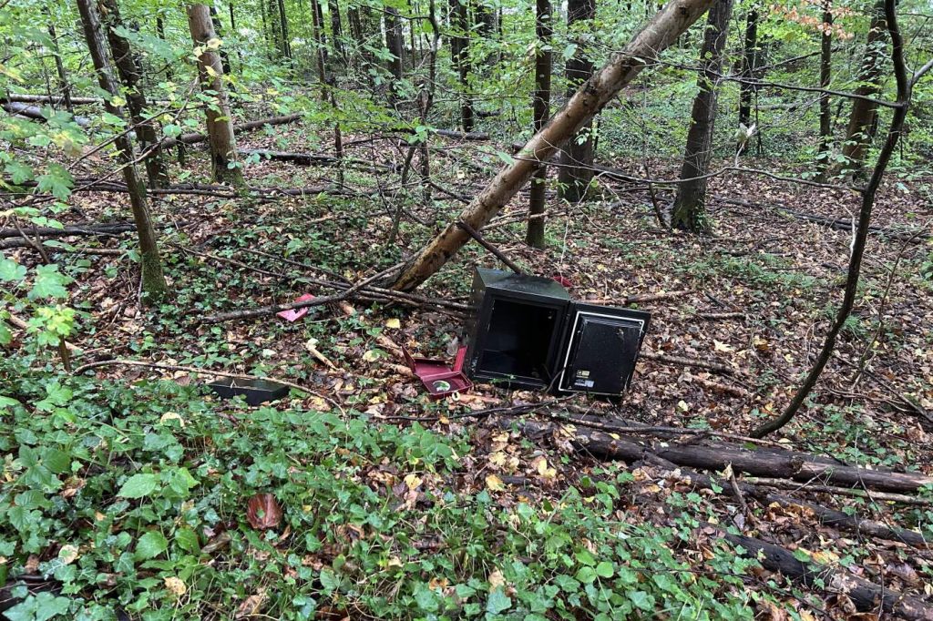Spaziergängerin stösst in Wald bei Rheinfelden auf leeren Tresor
