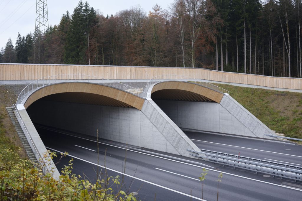 Bund baut Wildtierüberführung auf A2 bei Tenniken