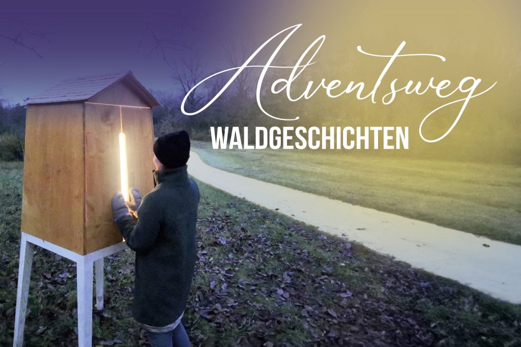 Adventsweg in Arlesheim erzählt Waldgeschichten