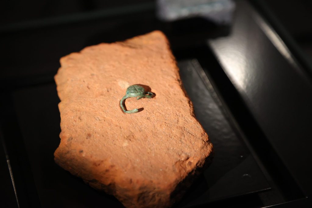 Hebräisches Heidi-Buch im neuen jüdischen Museum: «Es gab den Kindern in Israel Mut»