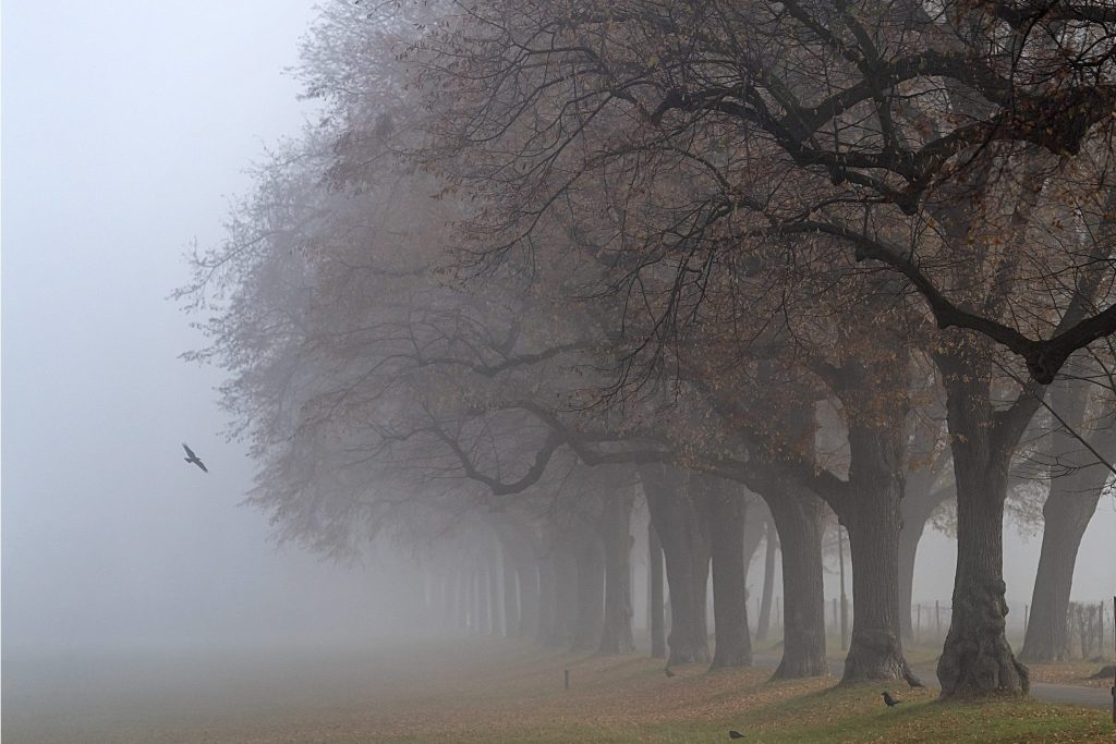 Diesjährige Herbsttemperaturen liegen im Normbereich