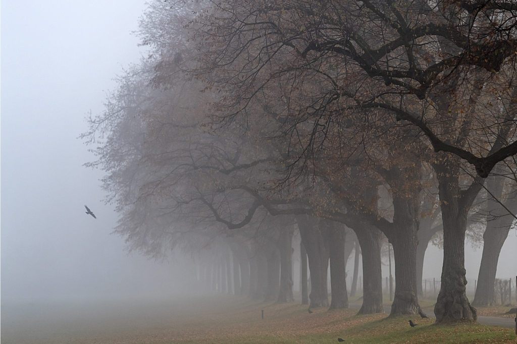 Diesjährige Herbsttemperaturen liegen im Normbereich