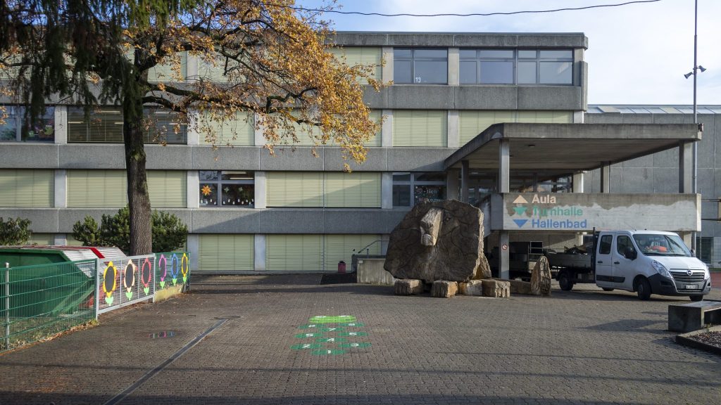 Verein Starke Schule reicht Aufsichtsbeschwerde gegen Primarschule ein