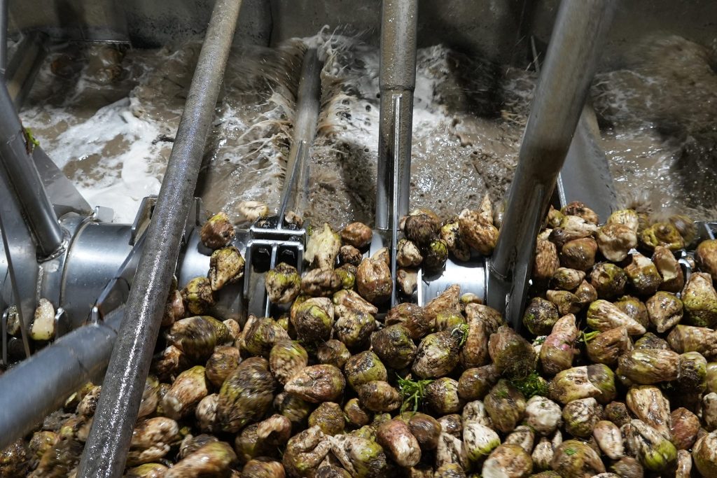 Zuckerfabrik in Frauenfeld stoppt vorübergehend Produktion