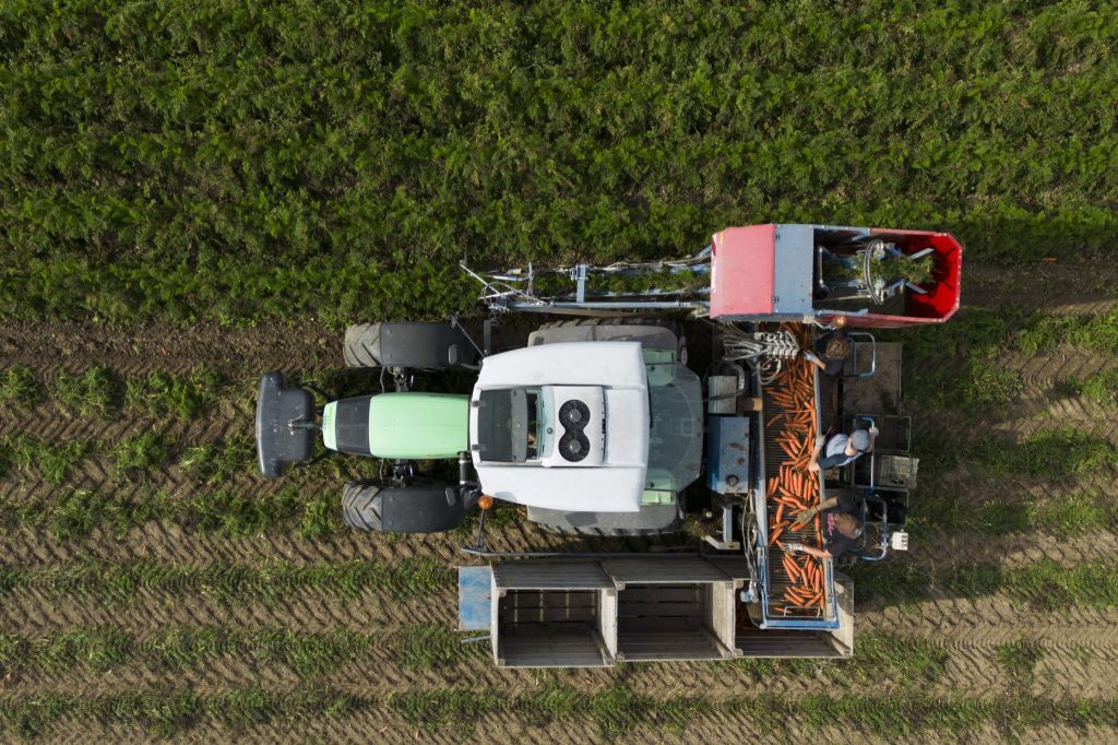 Landwirtschaft hat 2025 ein sehr gutes Jahr