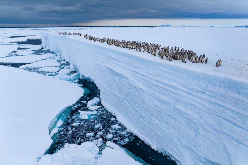 Naturhistorisches Museum zeigt die 100 besten Naturfotos