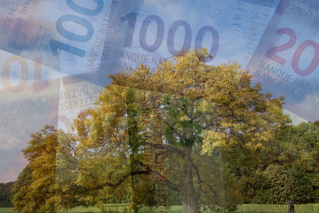 Die Juso will mit Erbschaftssteuern den Klimaschutz mitfinanzieren