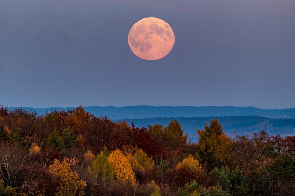 So schön leuchtete der Supermond am Himmel