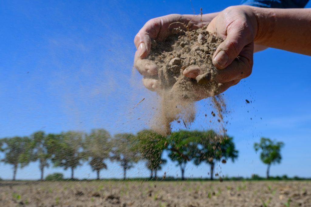 Intakte Böden als Schlüssel zum Klimaschutz