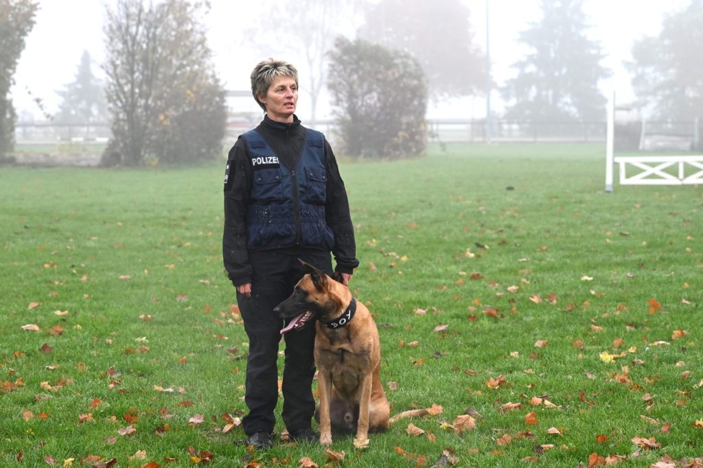 «Heute Abend bekommt er Lachs»: Devil schliesst Prüfung als Zweitbester ab