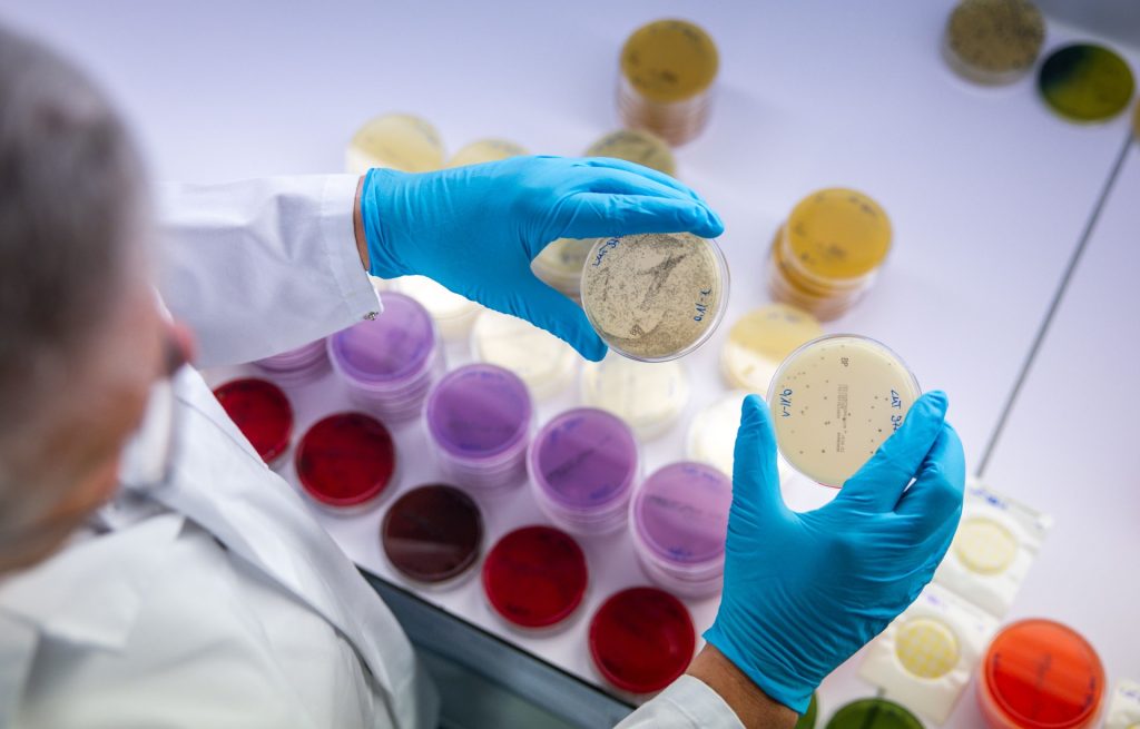 Bund vergibt künftig weniger aber höhere Exzellenz-Stipendien