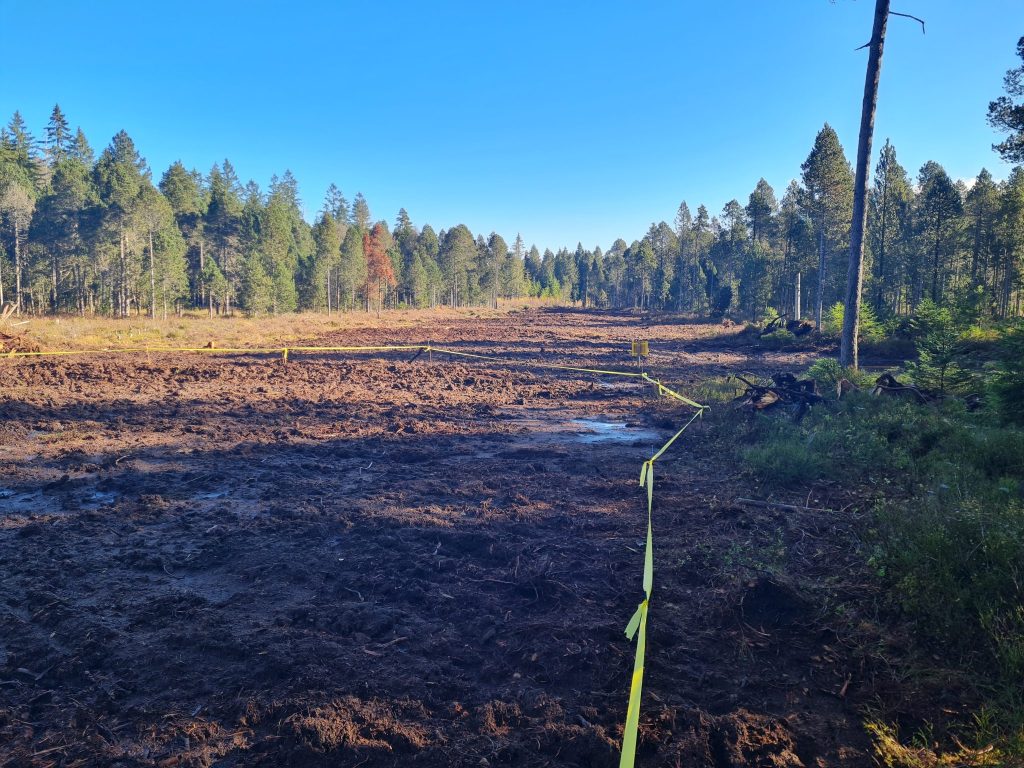 Basel-Stadt renaturiert ein Torfmoor im Jura