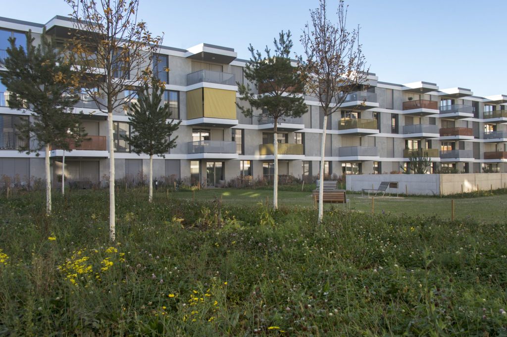 Mietwohnungsangebot in Basel sank nach Einführung des Mietzinsdeckels drastisch