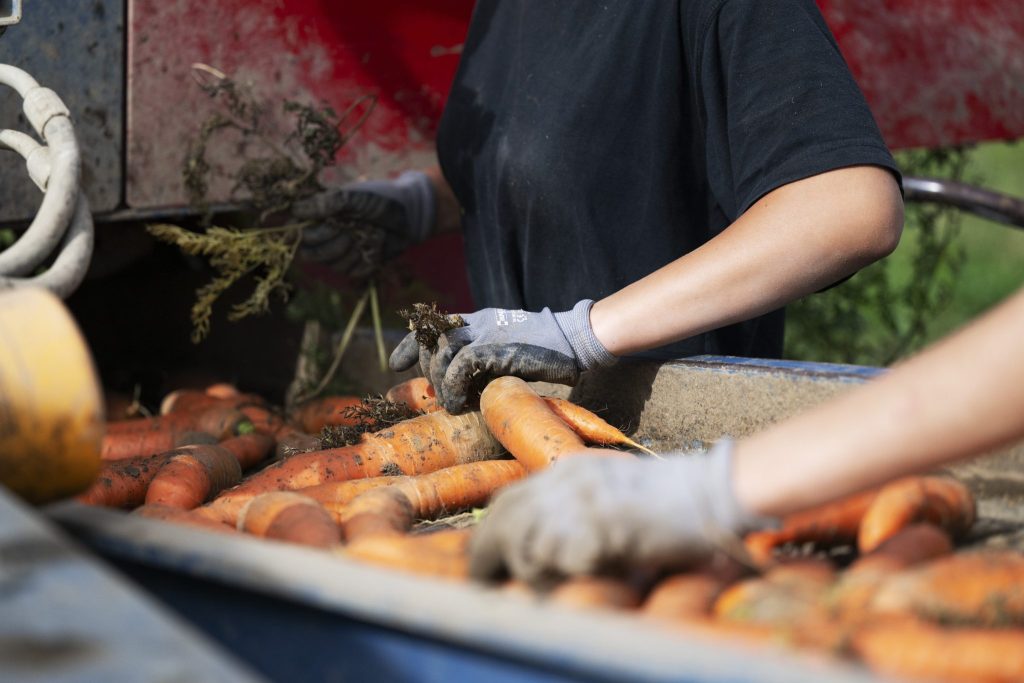 So ist das Jahr für die Schweizer Landwirtschaft verlaufen