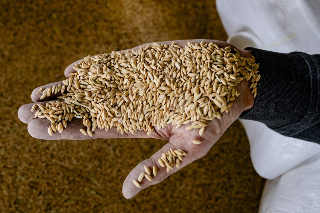 So ist das Jahr für die Schweizer Landwirtschaft verlaufen