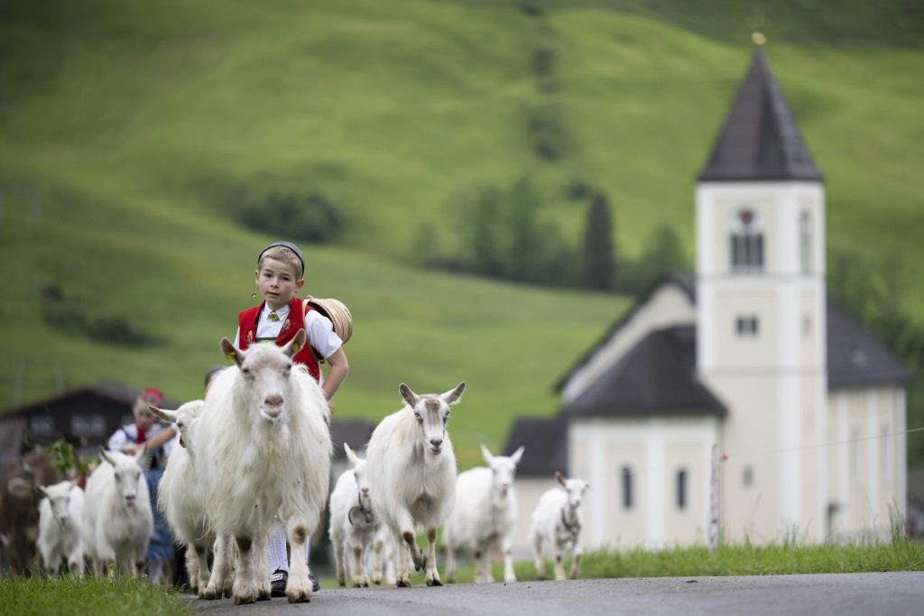 So ist das Jahr für die Schweizer Landwirtschaft verlaufen