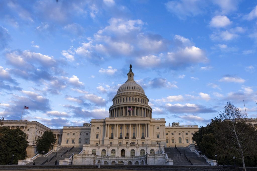 Das FBI nimmt einen mutmasslichen Bombenleger fest