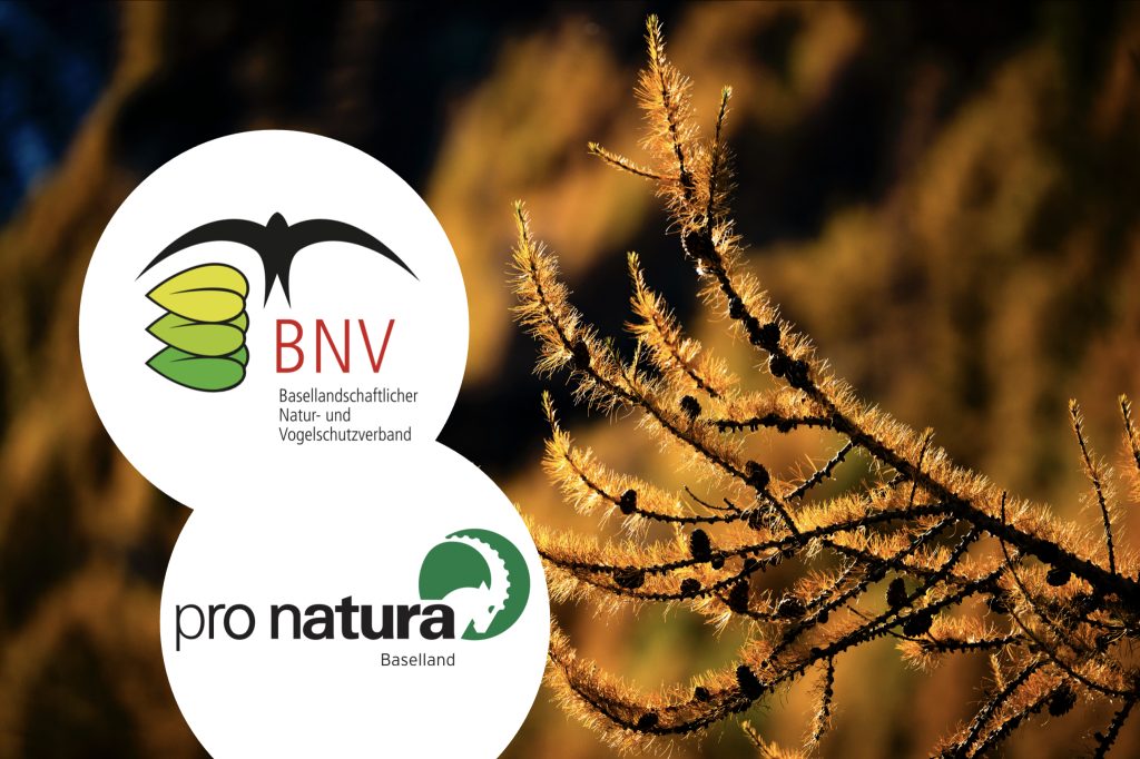 Naturschutzverbände kritisieren Baselbieter Regierung für Sparmassnahmen