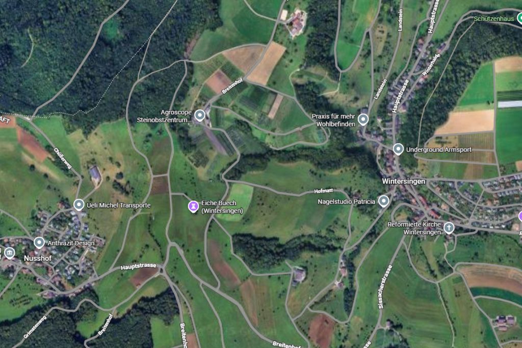 Wintersingen und Nusshof prüfen Fusion