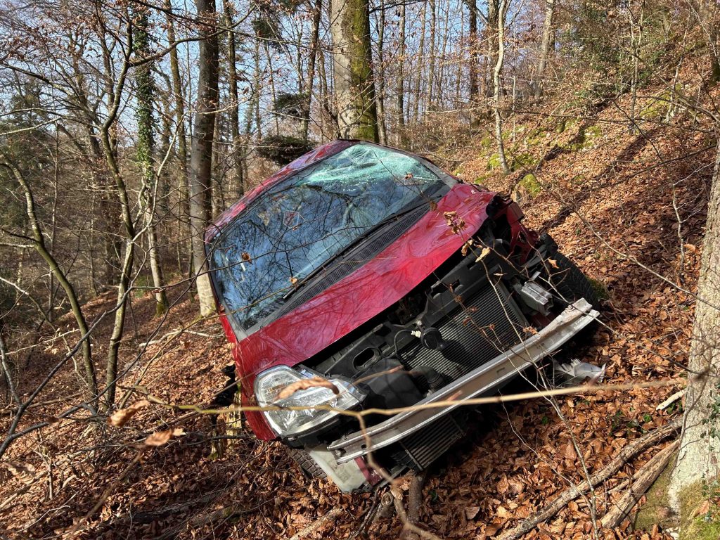 Alkoholisierter Lernfahrer stürzt 40 Meter den Hang hinunter – und geht nach Hause