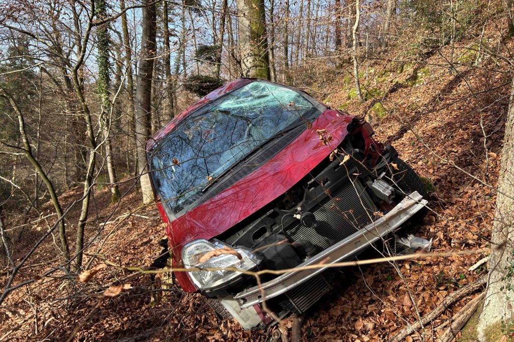 Alkoholisierter Lernfahrer stürzt 40 Meter den Hang hinunter – und geht nach Hause