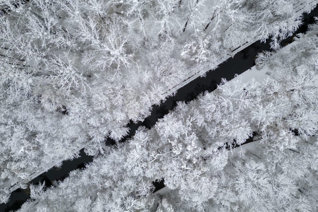 Chrischona nach Unterbruch wegen Schnee wieder mit dem Bus erreichbar