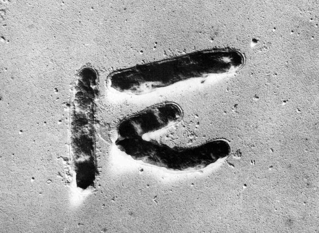 Neuer Antibiotika-Test aus Basel macht «aussitzende» Keime sichtbar