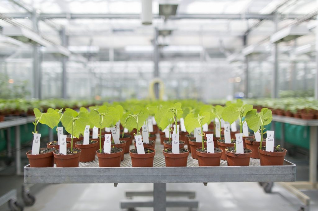 Syngenta steigert 2025 operativen Gewinn trotz tieferem Umsatz