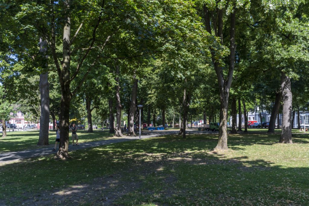Der Basler Petersplatz bekommt 30 neue Bäume